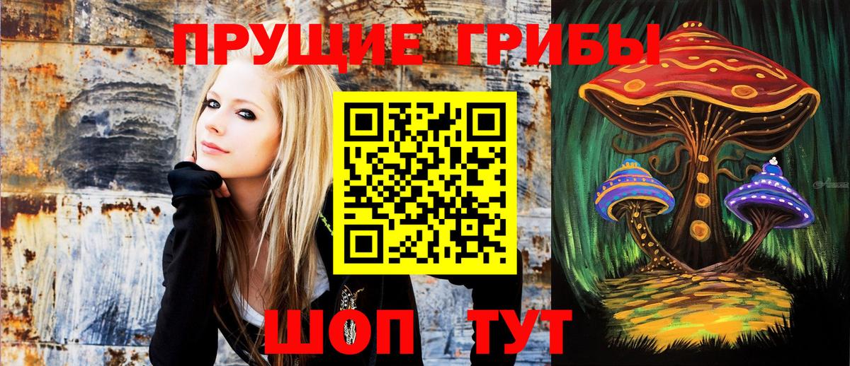 Псилоцибиновые грибы MAGIC MUSHROOMS Биробиджан