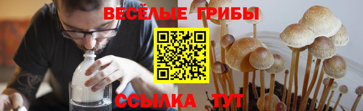 Галлюциногенные грибы прущие грибы  Вход с VPN  Псилоцибиновые грибы мицелий  Биробиджан 